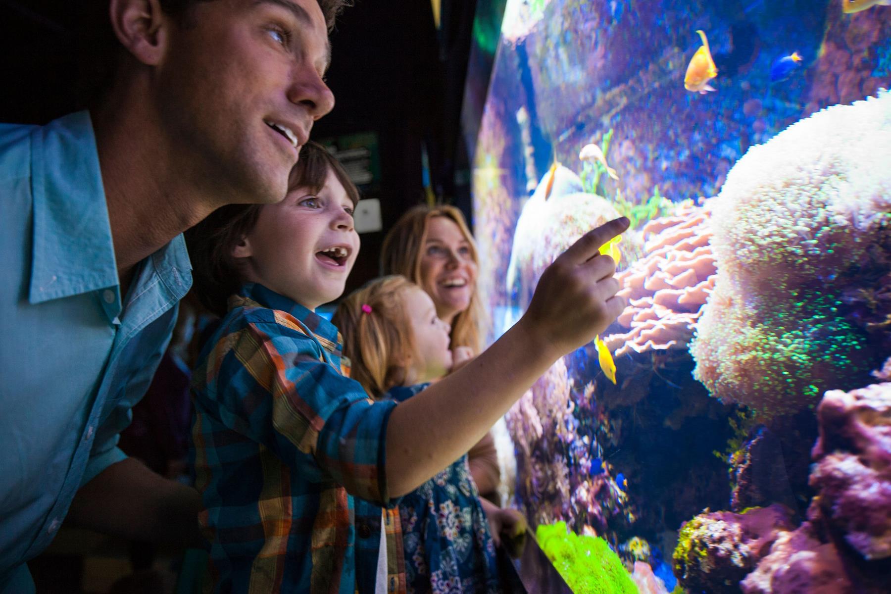 Niagara aquarium
